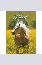 Календар Horses 2017